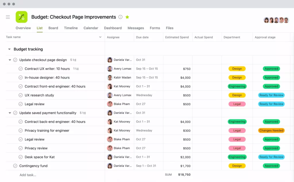 Asana project budget example